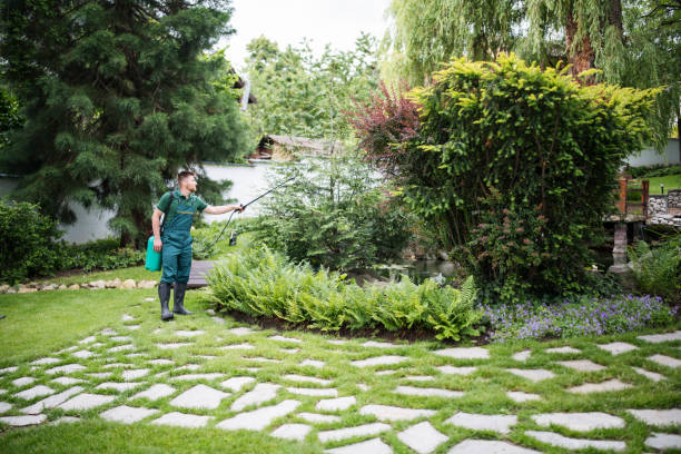 Best Wasp Removal Services  in Rendon, TX